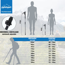 Carbon Wanderstock mit Korkgriff Lade das Bild in den Galerie-Viewer, Carbon Wanderstock mit Korkgriff
