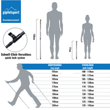 Carbon Nordic Walking Stock Lade das Bild in den Galerie-Viewer, Carbon Nordic Walking Stock